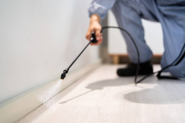 Certified termite inspector examining foundation in Atlantic